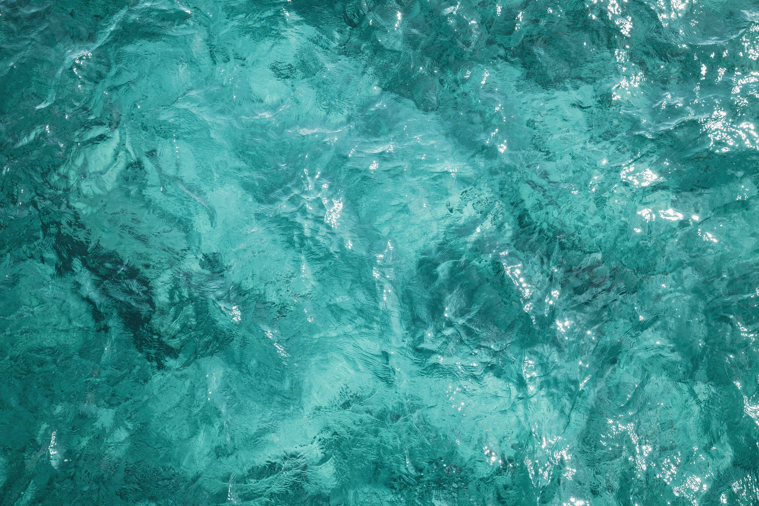 Ocean Power – Unser neues, innovatives Wimpernserum