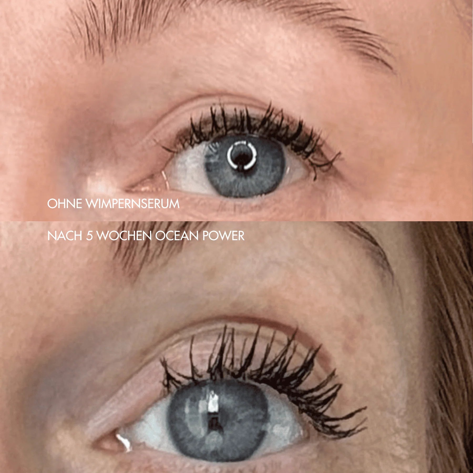 LongLashes Wimpernserum